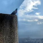 Vistas A La Ria Y Garaje En El Castro, Centro Vigo