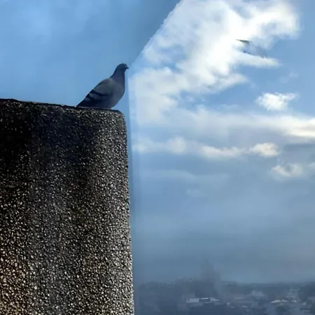 Vistas A La Ria Y Garaje En El Castro, Centro Vigo