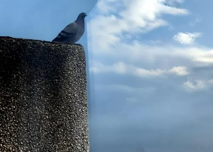 Vistas A La Ria Y Garaje En El Castro, Centro Vigo